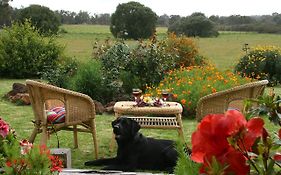 Silversprings Spa Retreat Pet Friendly Cottages And Glampings